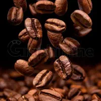 پخش انواع دانه قهوه با بهترین کیفیت