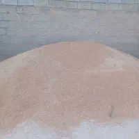 گندم