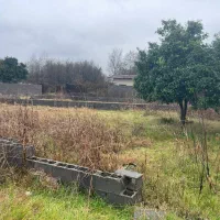 زمین با سند ششدانگ در زیباکنار/۲۲۱ متر/ مسکونی