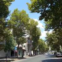 263-ویلایی-شهری-سند-تک-برگ