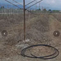 کارگر مرد کار بکن