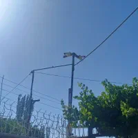 نصاب نصب دوربین مداربسته و دزدگیراماکن