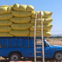 کاه.پرس هم جو هم گندوم در خدمتیم