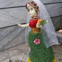 سبزه|گل و گیاه طبیعی|بروجرد, |دیوار