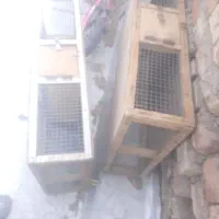 قفس|لوازم جانبی حیوانات|زاهدان, |دیوار