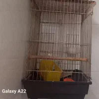 قفس استیل