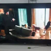 تلویزیون ۶۵اینچ سینگل