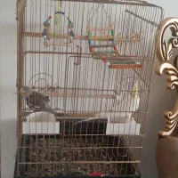 قفس کاسکو پایه دار سالم و نو