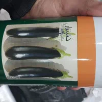 بادمجان نهال بامیه فلفل گوجه ریز