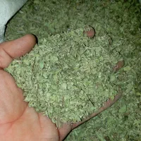آویشن کوهی