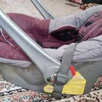 کریر|کالسکه و لوازم جانبی|اصفهان, قهجاورستان|دیوار