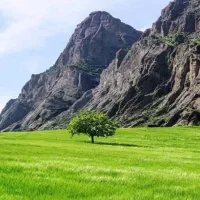موسی قیه
