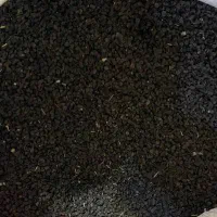 بذر پیاز قرمز