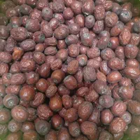 عناب شیرین ریز و دروشت
