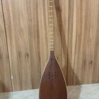 ساز سنتی|سازهای سنتی|صدرا-فارس, فاز ۱|دیوار