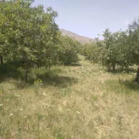 باغ-در-آستانه