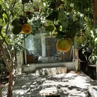 باغ آجیلی ۵۰۰ متر سرسبز و با صفا و خوش موقعیت