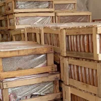 عسل سبلان فقط موم دار با رمکه