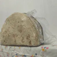 نان سنتی اسکو