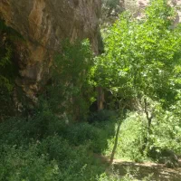 تور طبیعتگردی کوه