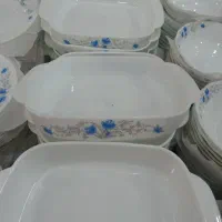 مرغ خوری گل آبی