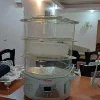 بخارپزسانی