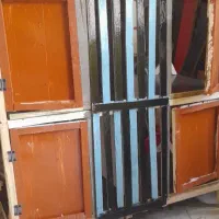 لانه مرغ وکبوتر