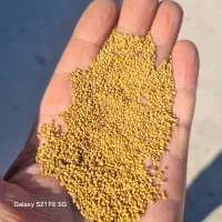 بذر یونجه ، شنبلیله ، اسپرس ، شبدر