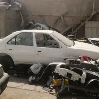 پارس تصادفی