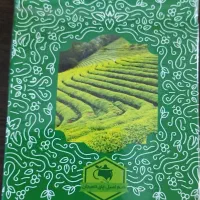 دمنوش لاغری گیاهی