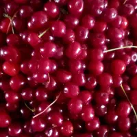 گیلاس تازه شیرین