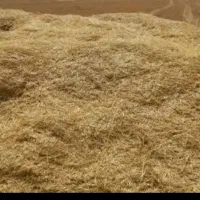 کاه کوبیده شده جو
