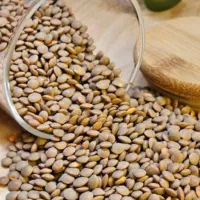 حبوبات با کیفیت به قیمت عمده (عدس لوبیا لپه)