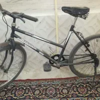دوچرخه خانمی ۲۰ یک سرعته