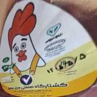 پخش کلی وجزیی آلایش دل.جگر. سنگدان مرغ