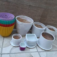 گلدان‌ها در حد نو هستن
