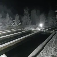 نگهبان برای پرورش ماهی قزل آلا