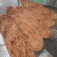 شاطر بربری