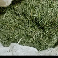 علف و یونجه خرمنکوب|عمده‌فروشی|دهگلان, |دیوار