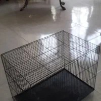 قفس