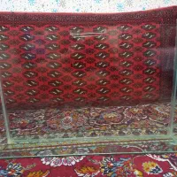 اکواریوم