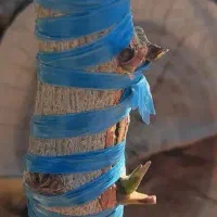 پیوند به ضمانت
