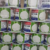 انواع بذر کلم و گل کلم