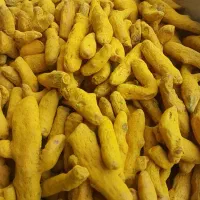 فروش ویژه ادویه ۹ شهریور