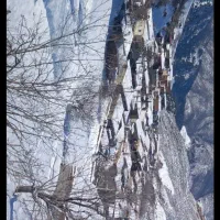 اجاره ویلا باصفایسناجون رامیان روستای قورچای