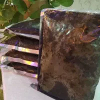 سبزی قورمه شمال سرخ شده