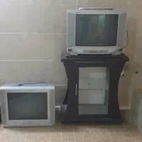 تلوزیون