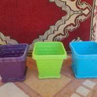 تعدادی گلدان رنگی
