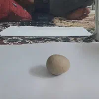 سنگ محو در آینه / روحانی