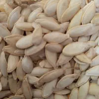 تخمه کدو درجه یک